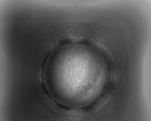 X0000088411346200705291441