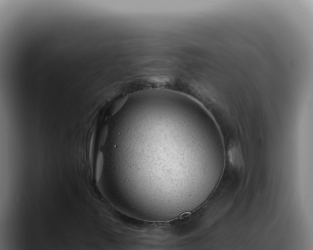X0000088411347200705291441