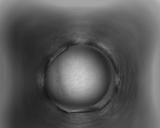 X0000088411348200705291441
