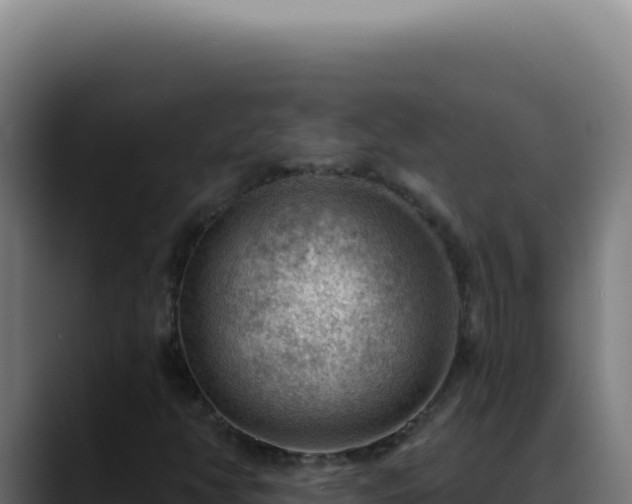 X0000088411350200705291441