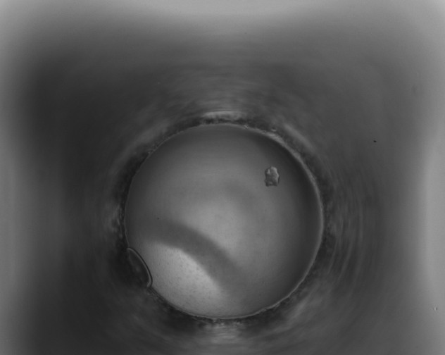X0000088411351200705291441