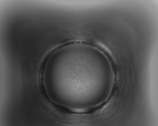 X0000088411352200705291441