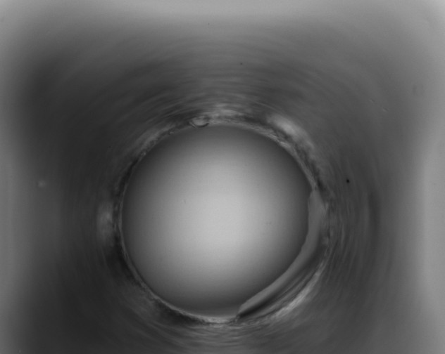 X0000088411353200705291441