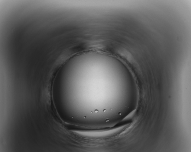 X0000088411354200705291441