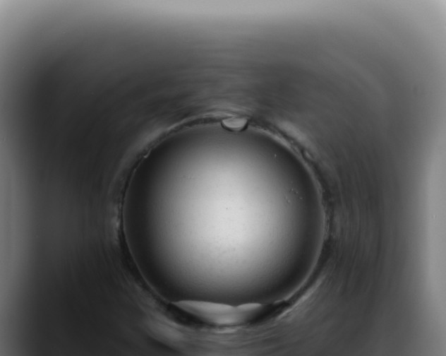 X0000088411355200705291441
