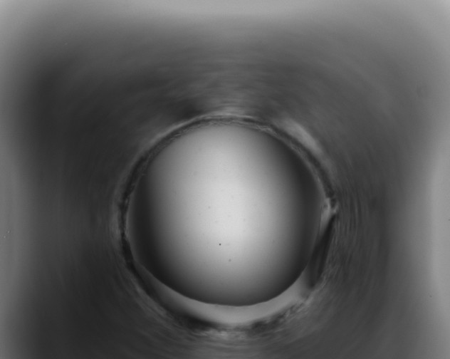 X0000088411356200705291441