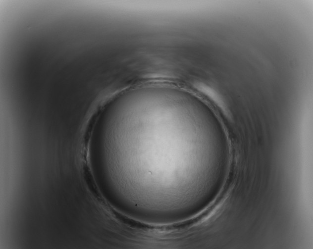 X0000088411357200705291441