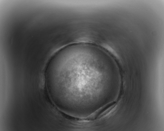 X0000088411358200705291441
