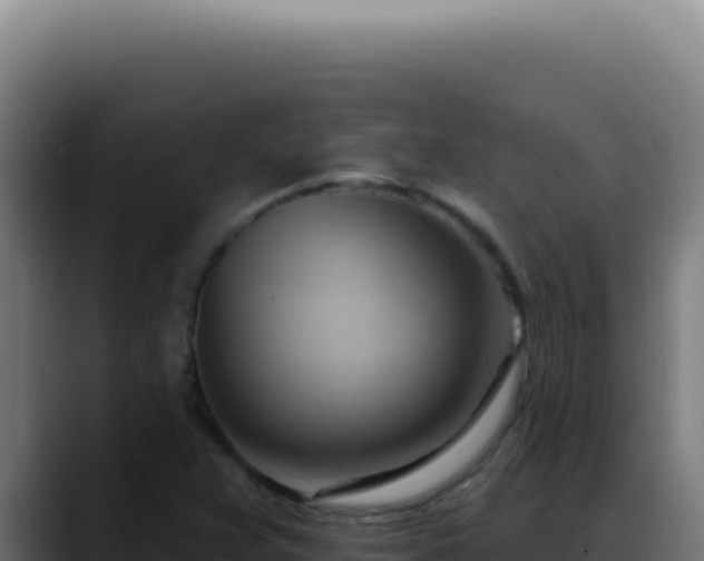 X0000088411359200705291441