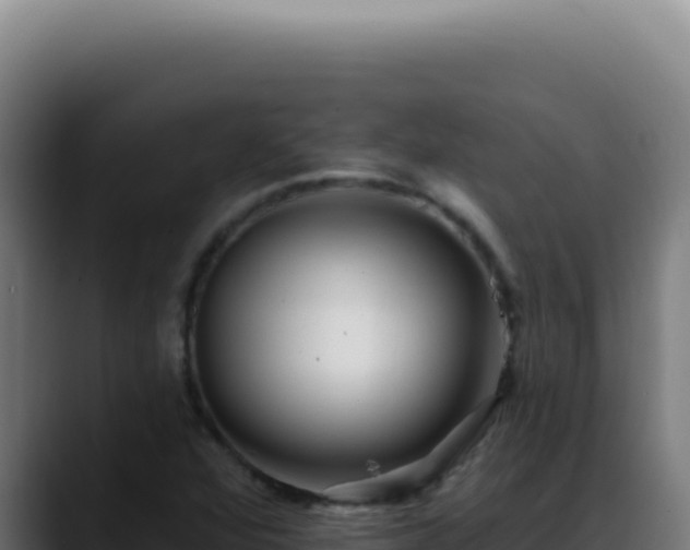 X0000088411360200705291440