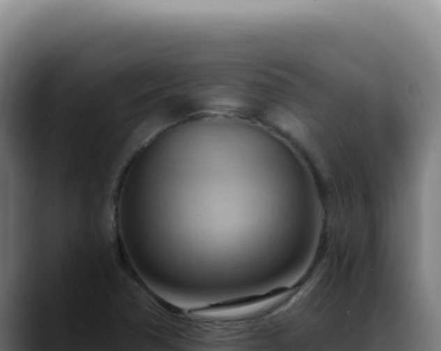 X0000088411362200705291440