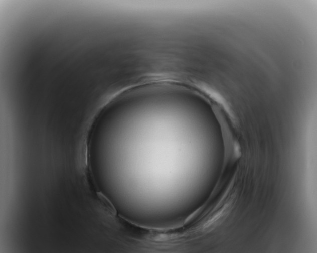 X0000088411365200705291440