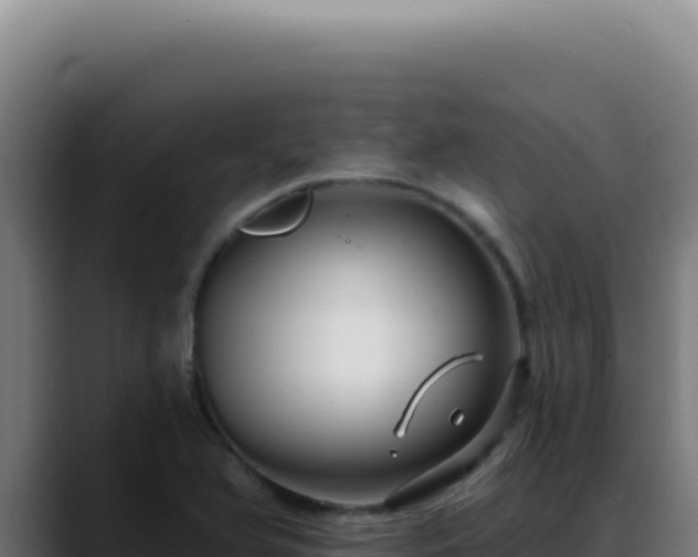 X0000088411366200705291440