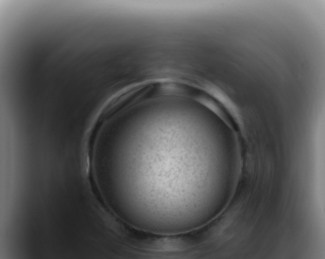 X0000088411368200705291440