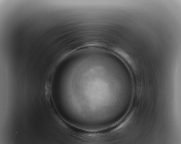 X0000088411369200705291440