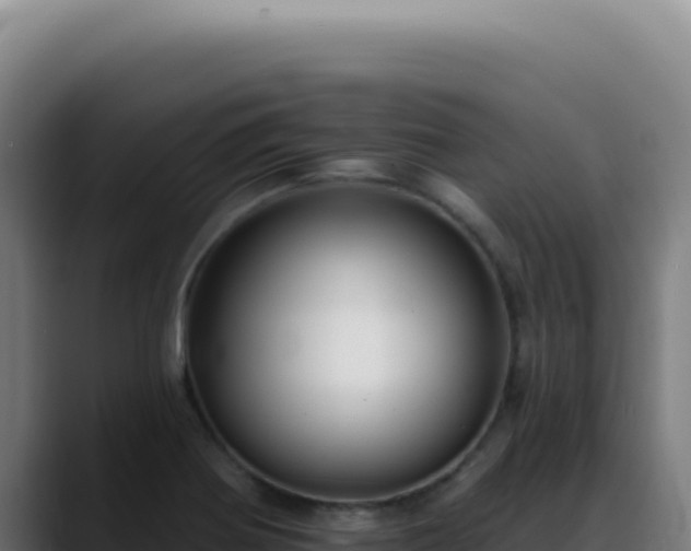 X0000088411370200705291440