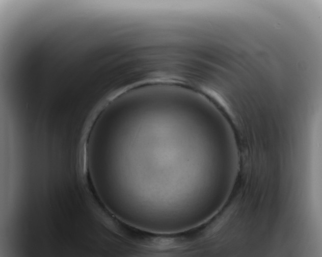 X0000088411371200705291440