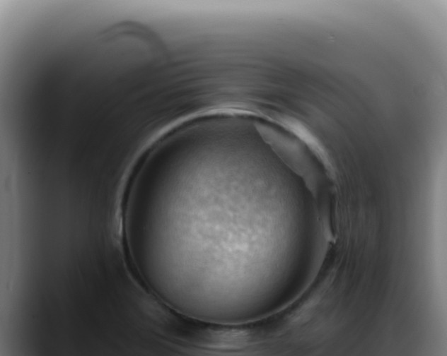 X0000088411372200705291440