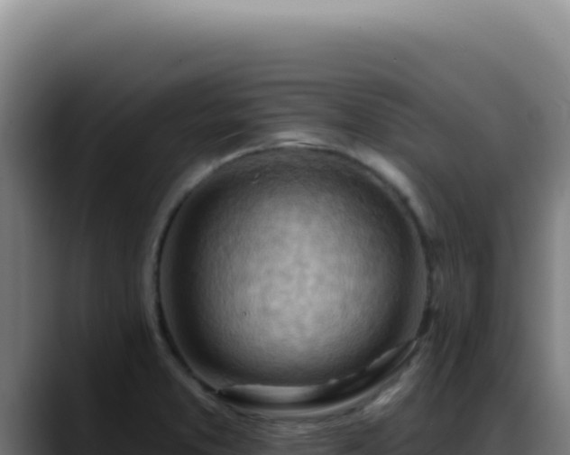 X0000088411373200705291440