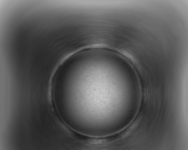 X0000088411374200705291440