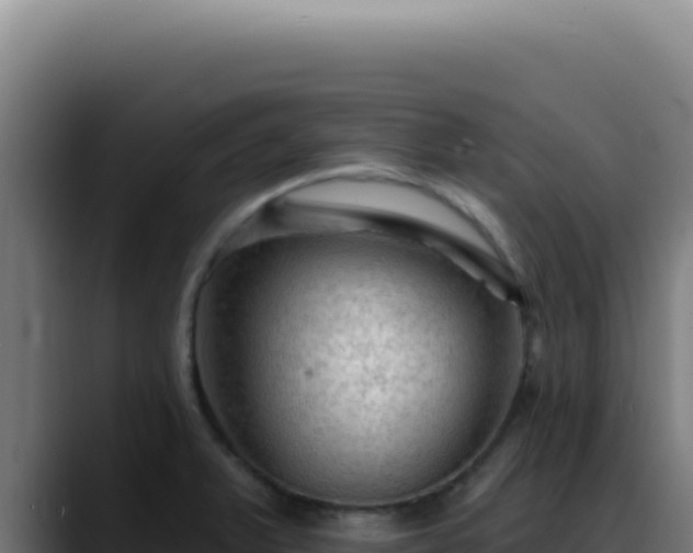 X0000088411375200705291440