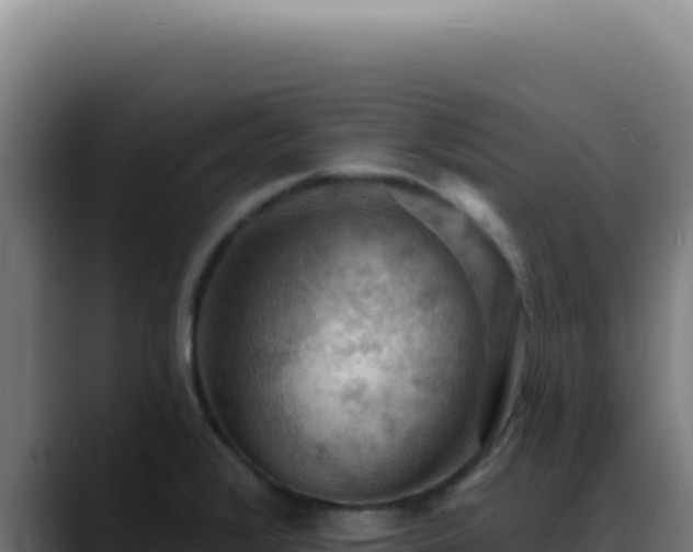 X0000088411376200705291440