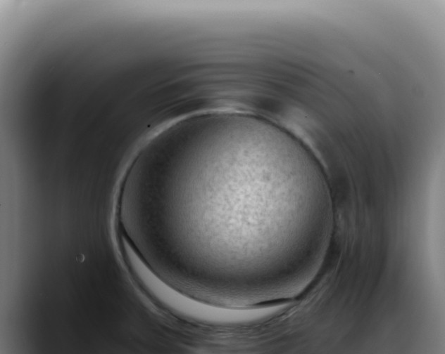 X0000088411379200705291440
