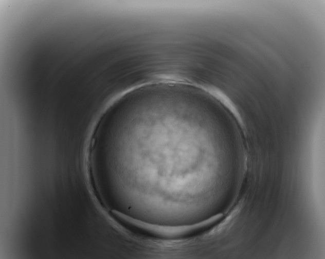 X0000088411381200705291440