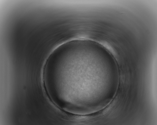 X0000088411382200705291440