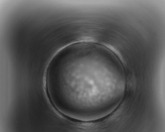 X0000088411383200705291440