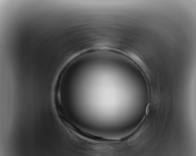 X0000088411384200705291440