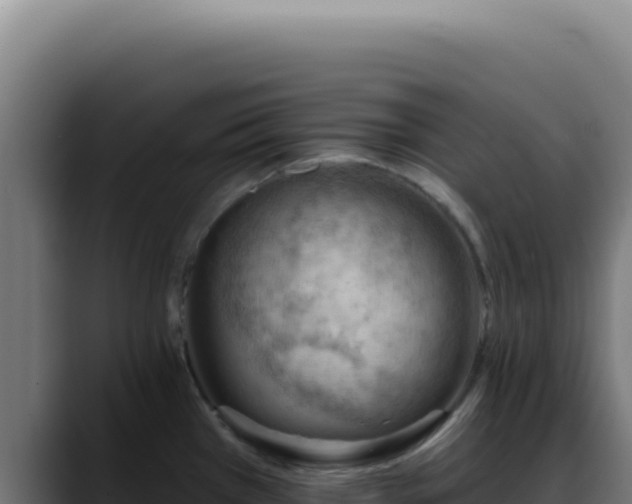 X0000088411385200705291440