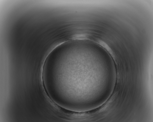 X0000088411386200705291440