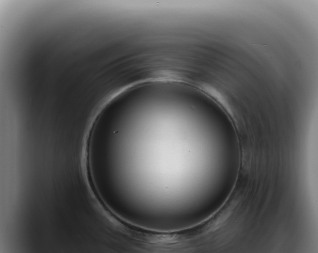 X0000088411387200705291440