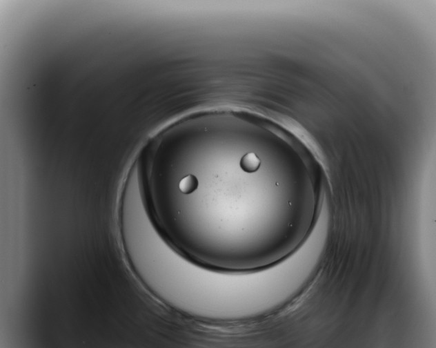 X0000088411388200705291440