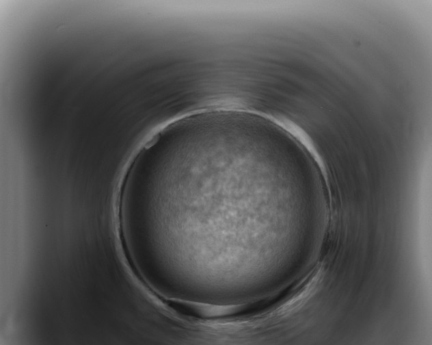 X0000088411389200705291440