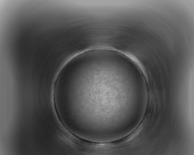 X0000088411390200705291440