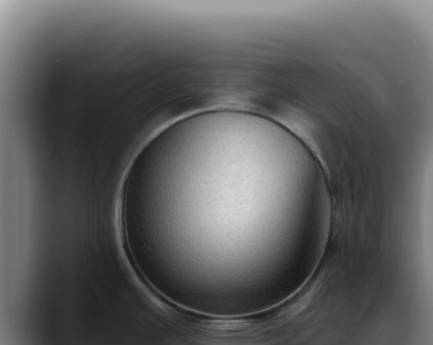 X0000088411391200705291440