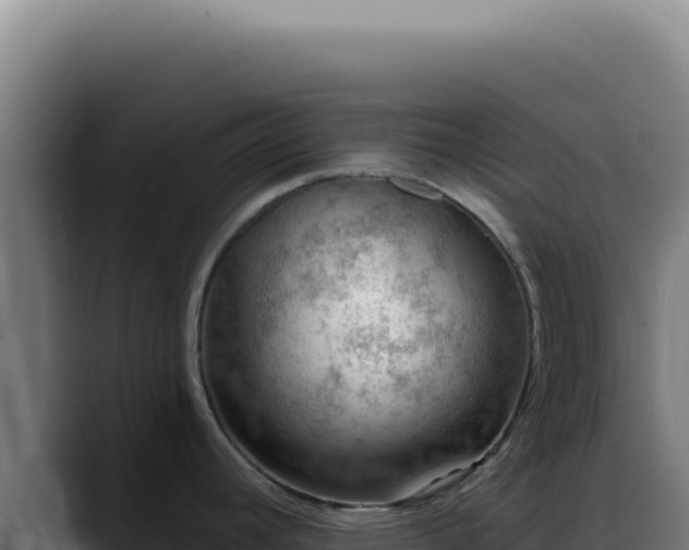 X0000088411392200705291440