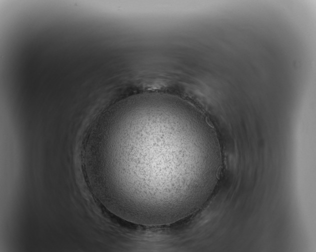 X0000088411393200705291439