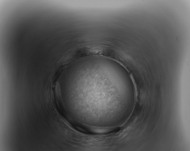X0000088411394200705291439