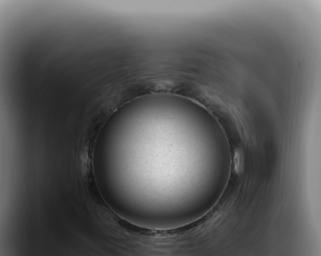 X0000088411395200705291439