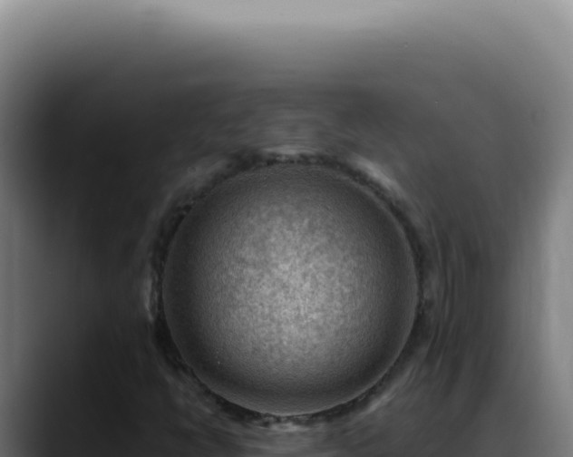 X0000088411398200705291440