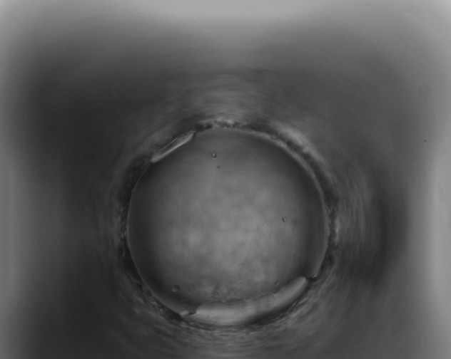 X0000088411399200705291440