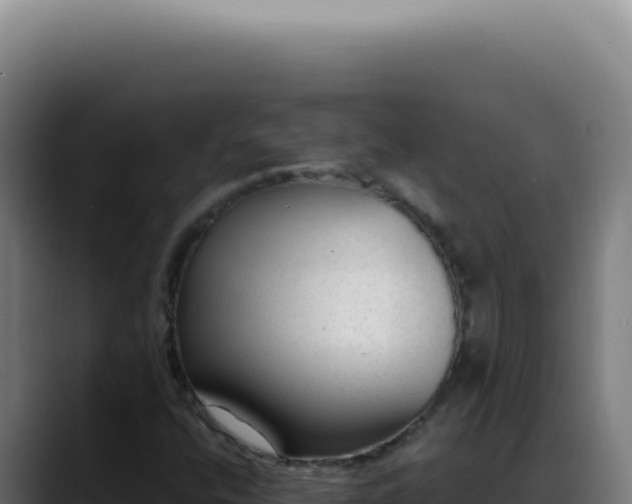 X0000088411400200705291440