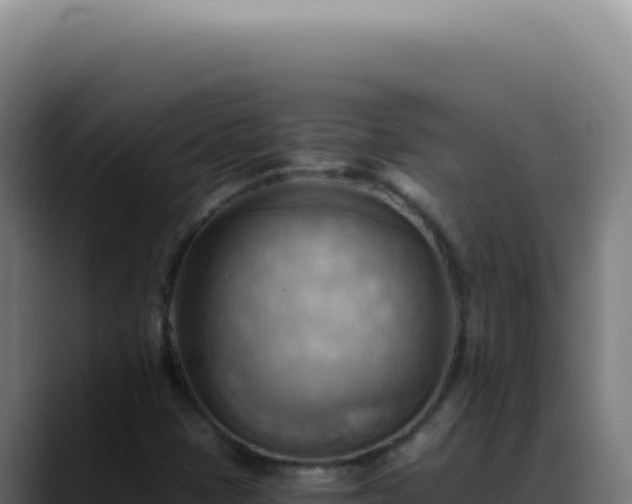 X0000088411401200705291440