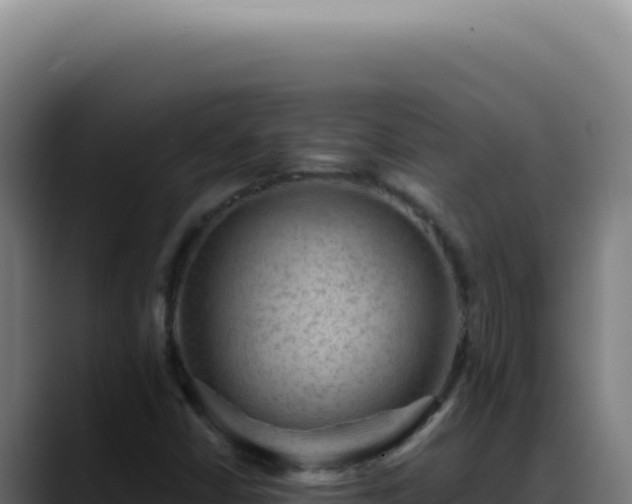 X0000088411402200705291440