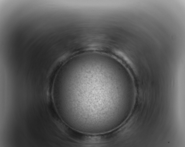 X0000088411403200705291440