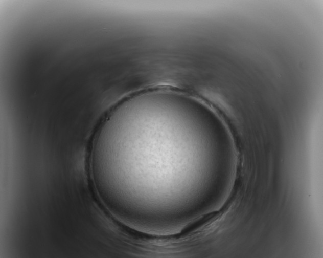 X0000088411404200705291440