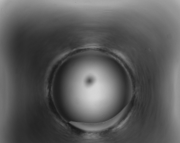 X0000088411406200705291440